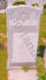 [example image]