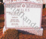 [example image]