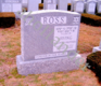 [example image]