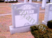 [example image]