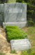 [example image]