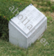 [example image]