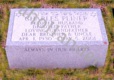 [example image]