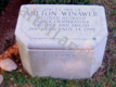 [example image]