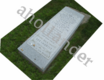 [example image]