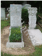 [example image]