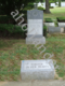 [example image]