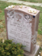 [example image]