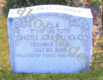 [example image]